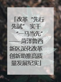 改革“先行先试” 实干“一马当先”——菏泽鲁西新区深化改革创新助推高质量发展纪实