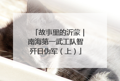 故事里的沂蒙｜南海第一武工队智歼日伪军（上）