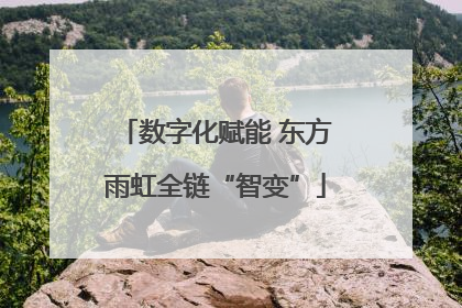数字化赋能 东方雨虹全链“智变”