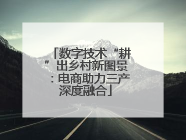 数字技术“耕”出乡村新图景：电商助力三产深度融合