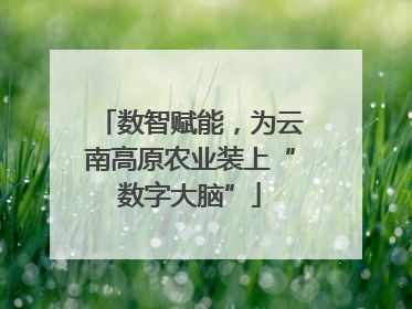 数智赋能，为云南高原农业装上“数字大脑”