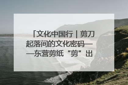 文化中国行｜剪刀起落间的文化密码——东营剪纸“剪”出非遗传承与现代生活的融合之道