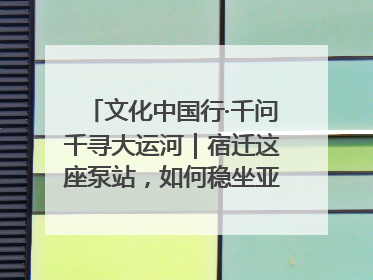 文化中国行·千问千寻大运河｜宿迁这座泵站，如何稳坐亚洲第一宝座？