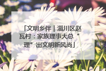 文明乡伴｜淄川区赵瓦村：家族理事大总“理”出文明新风尚