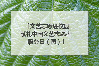 文艺志愿进校园 献礼中国文艺志愿者服务日（图）