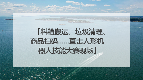 料箱搬运、垃圾清理、商品扫码……直击人形机器人技能大赛现场