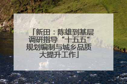 新田：陈雄到基层调研指导“十五五”规划编制与城乡品质大提升工作