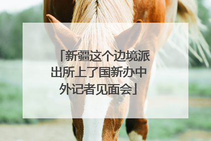 新疆这个边境派出所上了国新办中外记者见面会