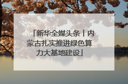 新华全媒头条丨内蒙古扎实推进绿色算力大基地建设