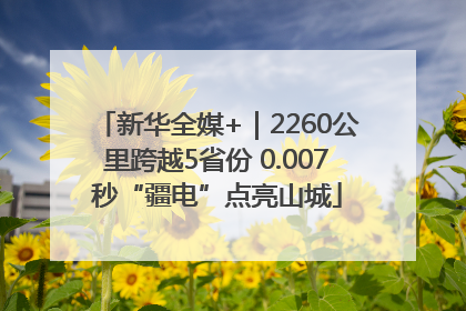 新华全媒+｜2260公里跨越5省份 0.007秒“疆电”点亮山城