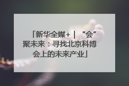 新华全媒+｜“会”聚未来：寻找北京科博会上的未来产业
