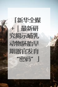 新华全媒+｜最新研究揭示哺乳动物胚胎早期器官发育“密码”