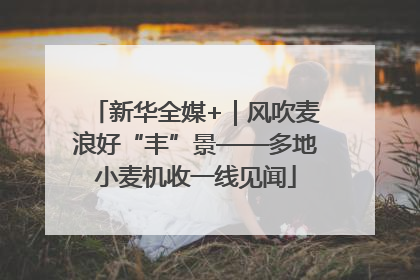 新华全媒+｜风吹麦浪好“丰”景——多地小麦机收一线见闻