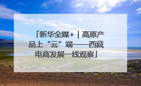 新华全媒+｜高原产品上“云”端——西藏电商发展一线观察