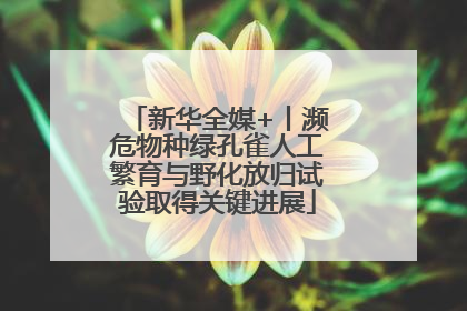 新华全媒+丨濒危物种绿孔雀人工繁育与野化放归试验取得关键进展