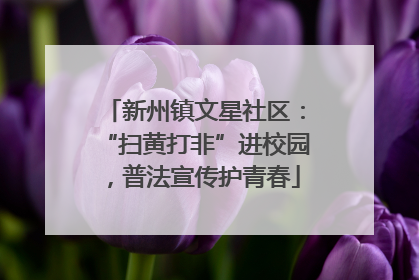 新州镇文星社区：“扫黄打非”进校园，普法宣传护青春