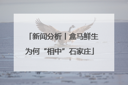 新闻分析丨盒马鲜生为何“相中”石家庄