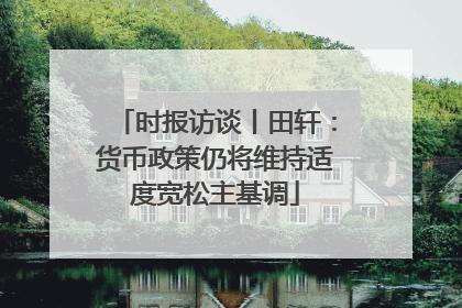 时报访谈丨田轩：货币政策仍将维持适度宽松主基调