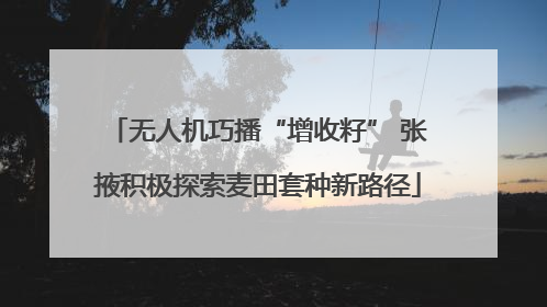 无人机巧播“增收籽” 张掖积极探索麦田套种新路径