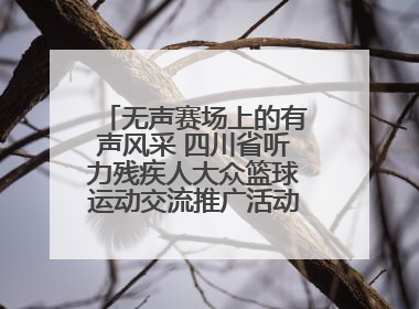 无声赛场上的有声风采 四川省听力残疾人大众篮球运动交流推广活动圆满落幕