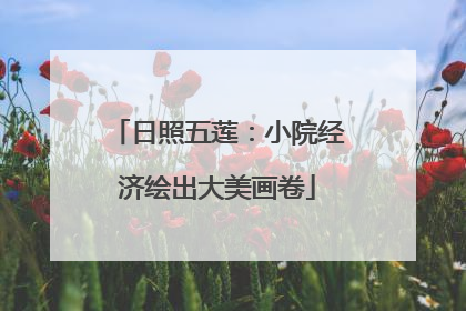 日照五莲：小院经济绘出大美画卷
