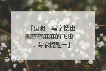 昆明一写字楼出现密密麻麻的飞虫，专家提醒→