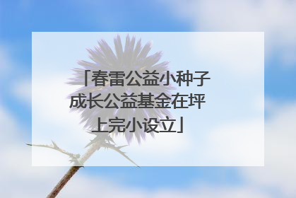 春雷公益小种子成长公益基金在坪上完小设立