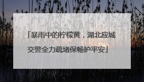 暴雨中的柠檬黄，湖北应城交警全力疏堵保畅护平安