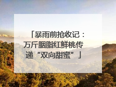暴雨前抢收记：万斤胭脂红鲜桃传递“双向甜蜜”