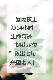 暴雨夜上演14小时生命奇迹 “烟花定位”救出七旬采菌老人