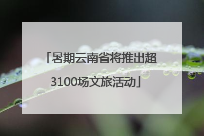 暑期云南省将推出超3100场文旅活动