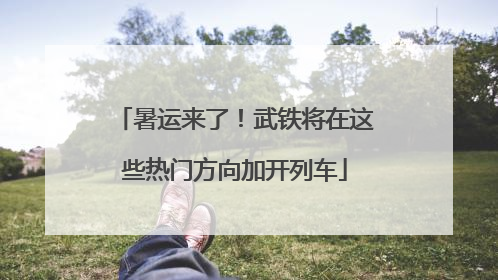 暑运来了！武铁将在这些热门方向加开列车