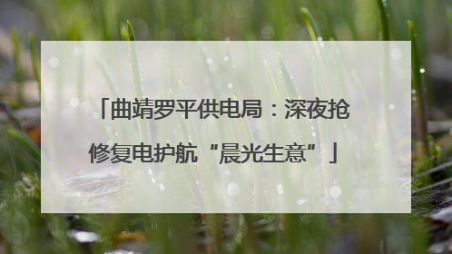 曲靖罗平供电局：深夜抢修复电护航“晨光生意”
