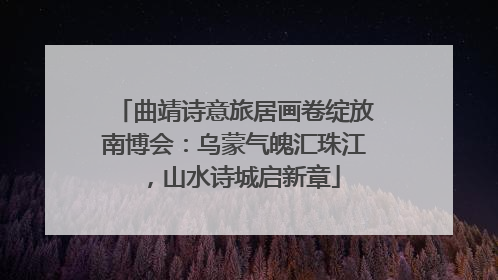 曲靖诗意旅居画卷绽放南博会：乌蒙气魄汇珠江，山水诗城启新章