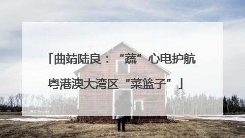 曲靖陆良：“蔬”心电护航粤港澳大湾区“菜篮子”