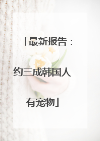 最新报告：约三成韩国人有宠物