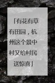 有花有草有田园，杭州这个景中村又给村民送惊喜