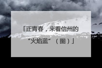 正青春，来看信州的“火焰蓝”（图）