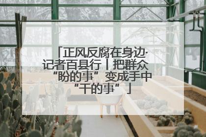 正风反腐在身边·记者百县行丨把群众“盼的事”变成手中“干的事”