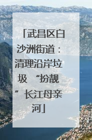 武昌区白沙洲街道：清理沿岸垃圾 “扮靓”长江母亲河