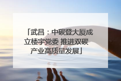 武昌：中碳登大厦成立楼宇党委 推进双碳产业高质量发展