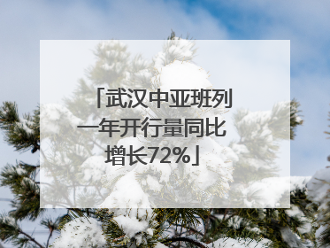 武汉中亚班列一年开行量同比增长72%