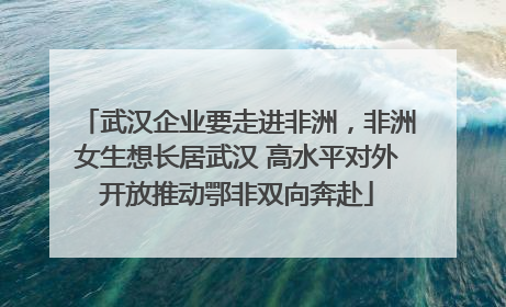 武汉企业要走进非洲，非洲女生想长居武汉 高水平对外开放推动鄂非双向奔赴