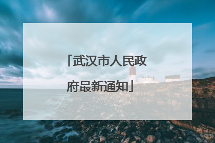 武汉市人民政府最新通知