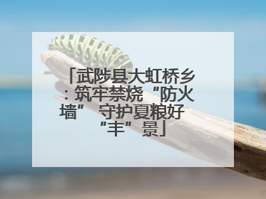 武陟县大虹桥乡：筑牢禁烧“防火墙” 守护夏粮好“丰”景