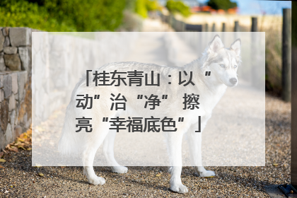 桂东青山：以“动”治“净” 擦亮“幸福底色”