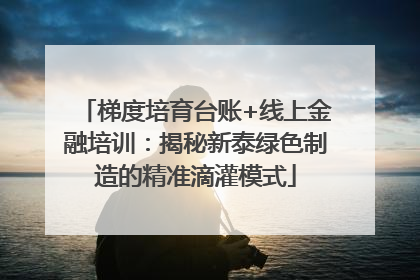 梯度培育台账+线上金融培训：揭秘新泰绿色制造的精准滴灌模式