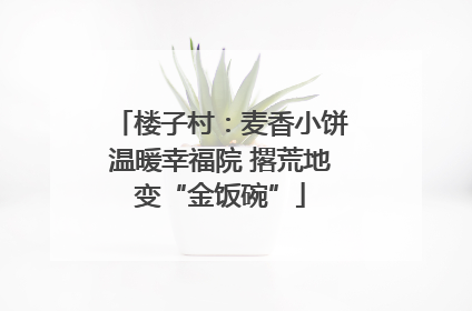 楼子村：麦香小饼温暖幸福院 撂荒地变“金饭碗”