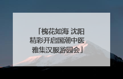 槐花如海 沈阳精彩开启国潮中医雅集汉服游园会