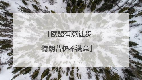 欧盟有意让步 特朗普仍不满意